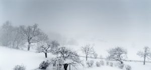 Die absolute Landschaft 1454